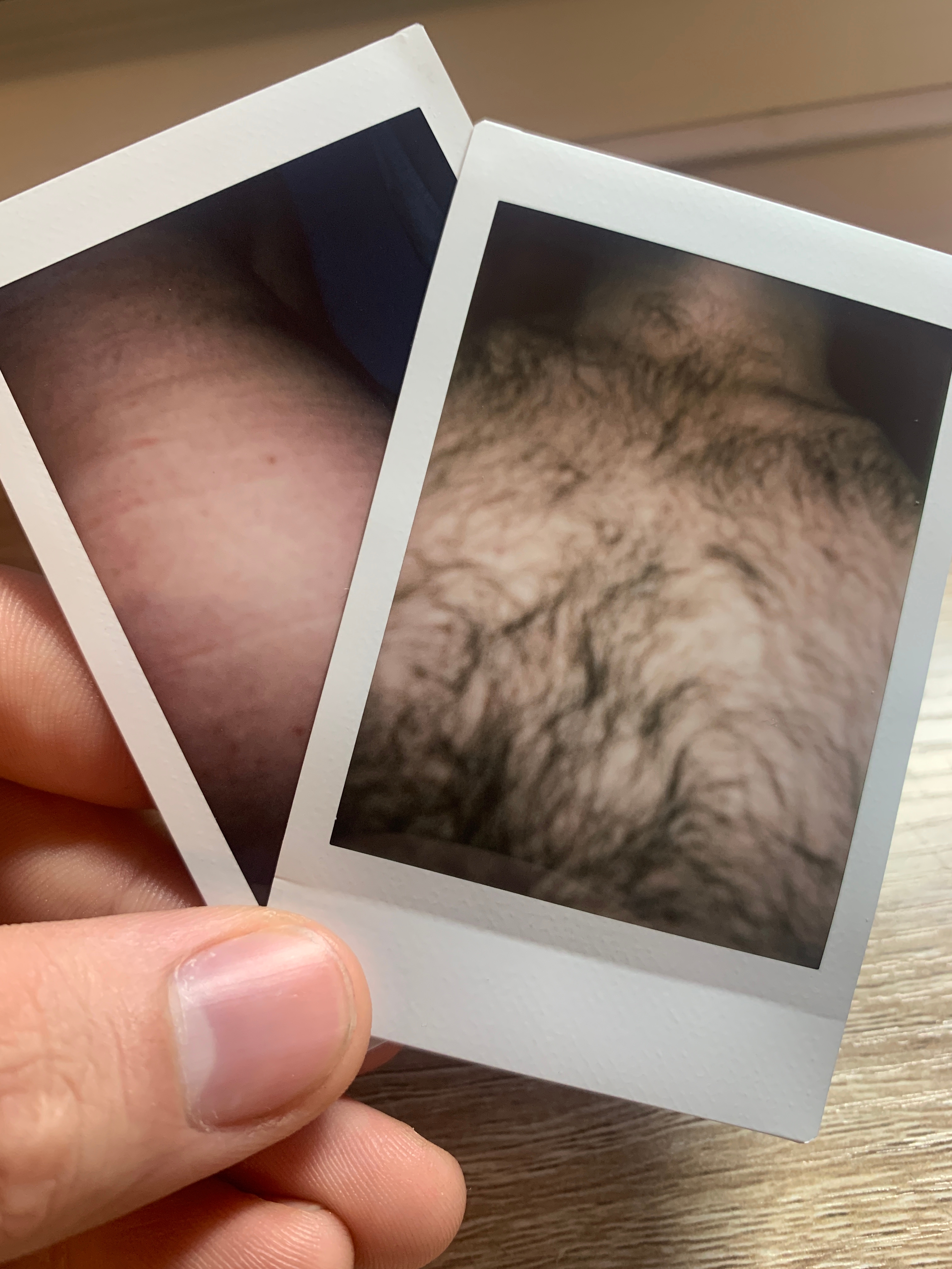 Scudi Snaps banner